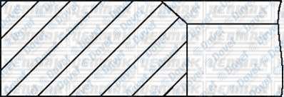 YENMAK 91-09307-025 Segman 0.25 (81.01mm) Audi Vw 1.6 1.8 Benzinli Abm / Ds  ####